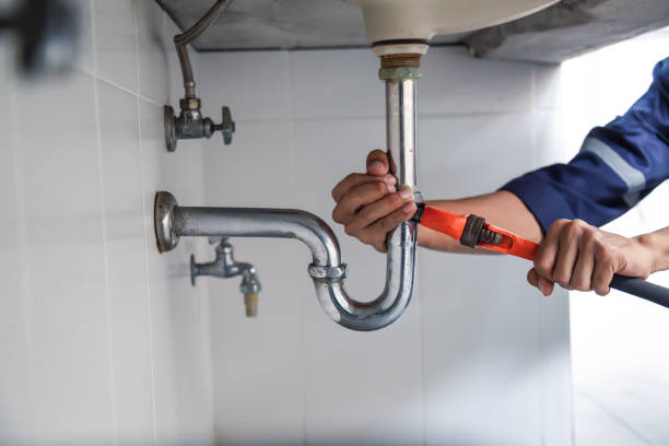 Best Clogged Drain Plumber  in Bellevue, WI